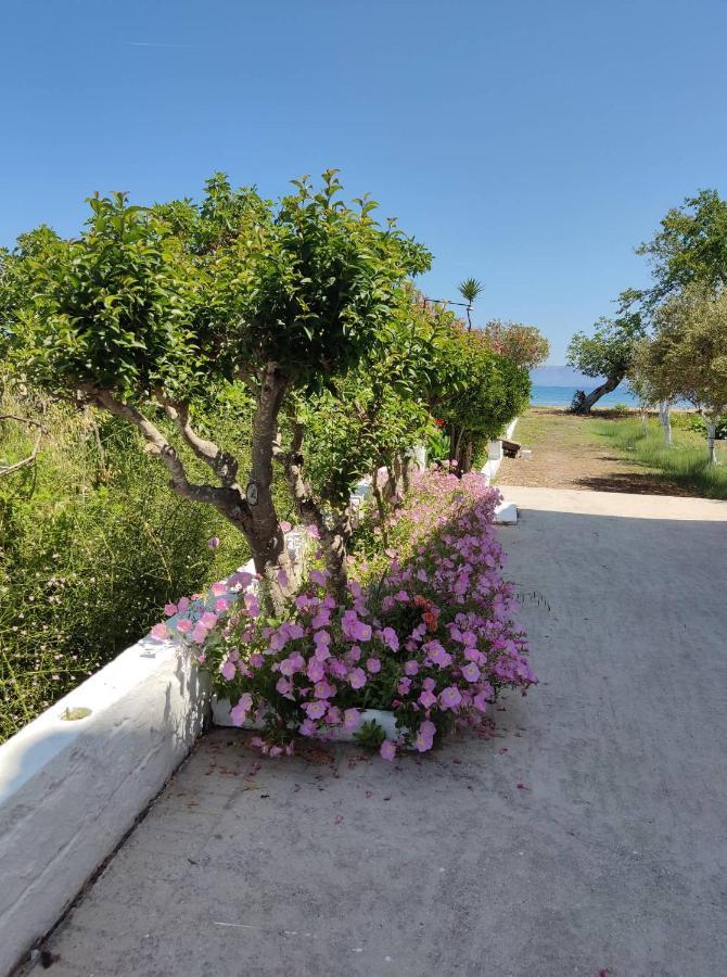 Cavos Sunrise Beach Apartments Kavos Ngoại thất bức ảnh