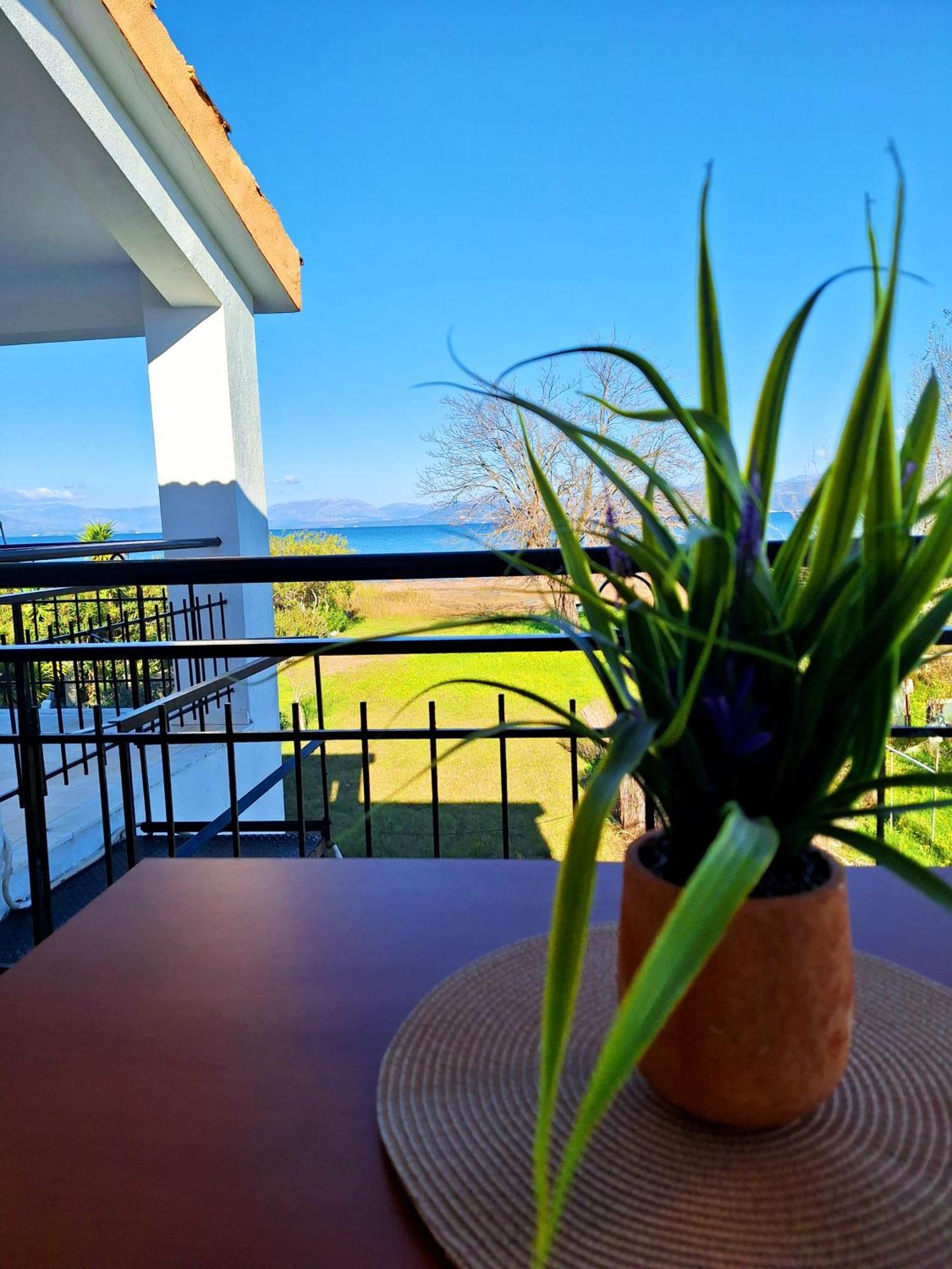 Cavos Sunrise Beach Apartments Kavos Ngoại thất bức ảnh